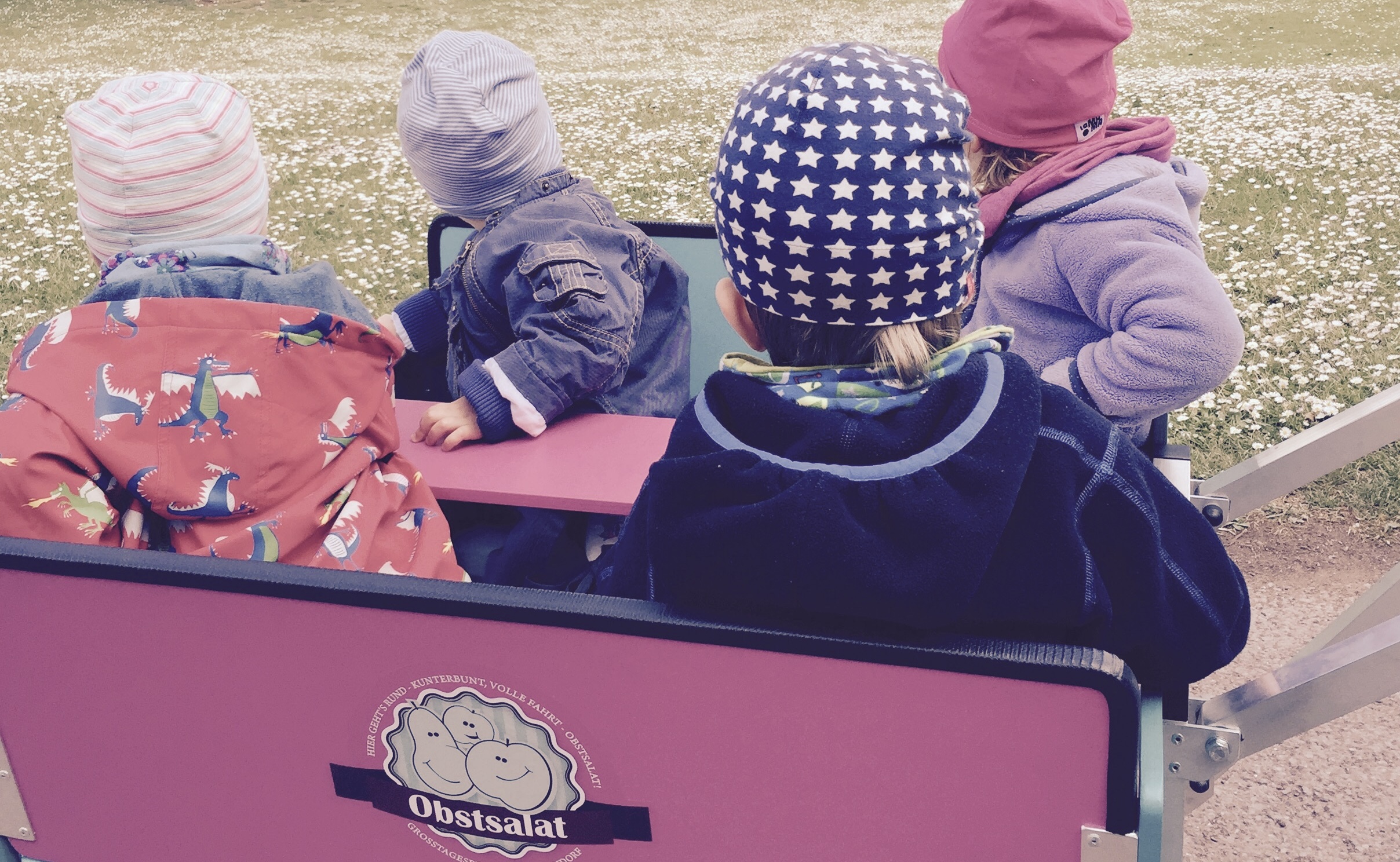 Obstsalat Großtagespflegen - Obstsalat Düsseldorf-Pempelfort 2